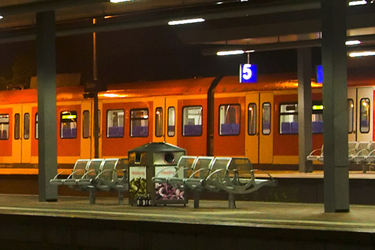 Bildausschnitt Orginalgröße (100%)