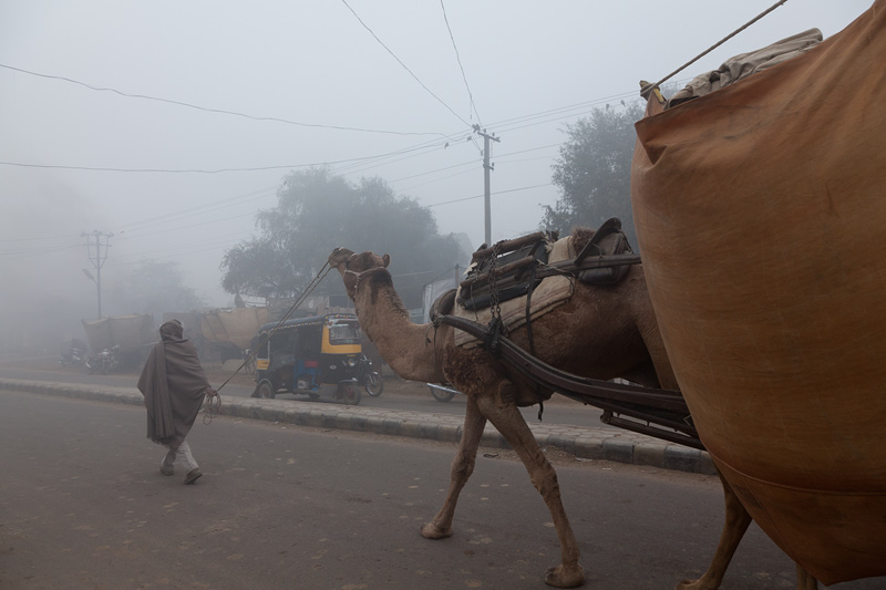 Indien