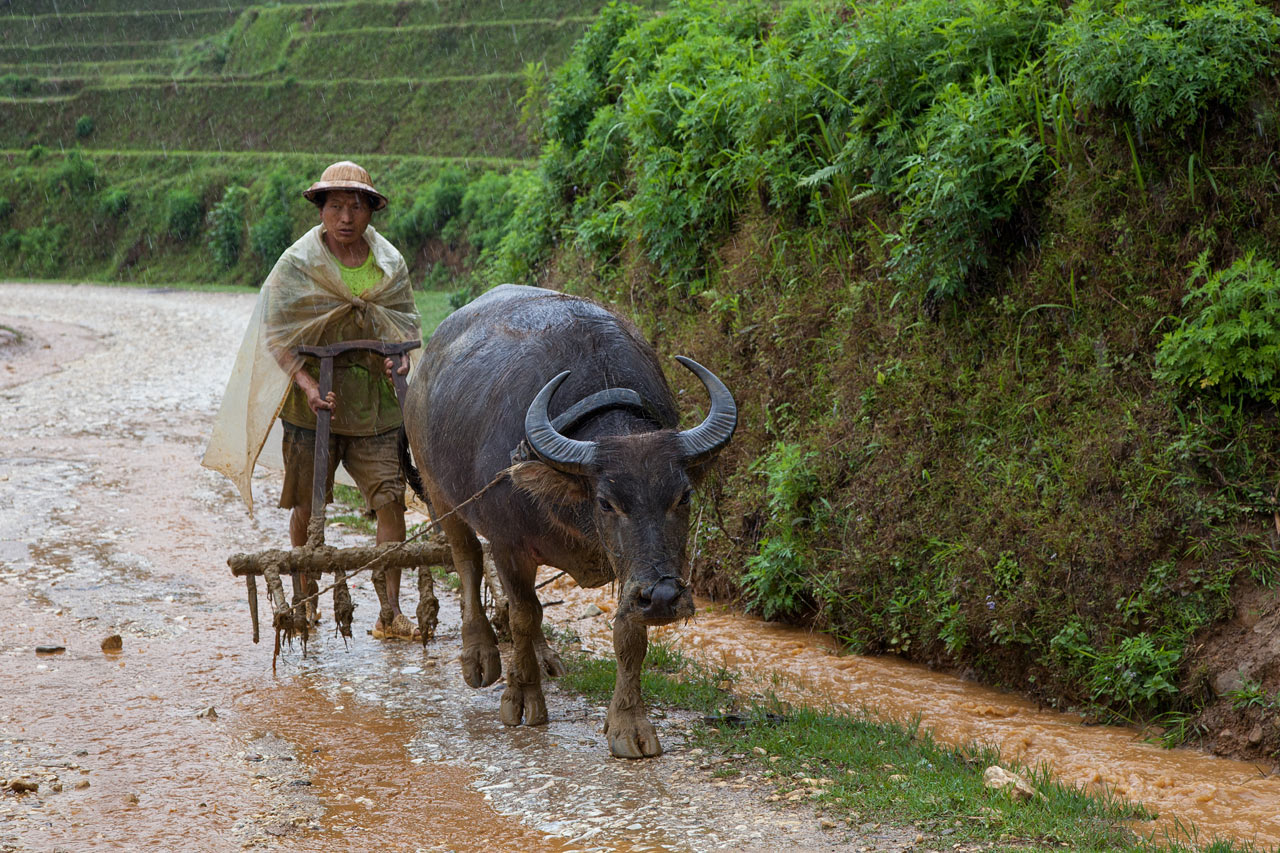 Vietnam
