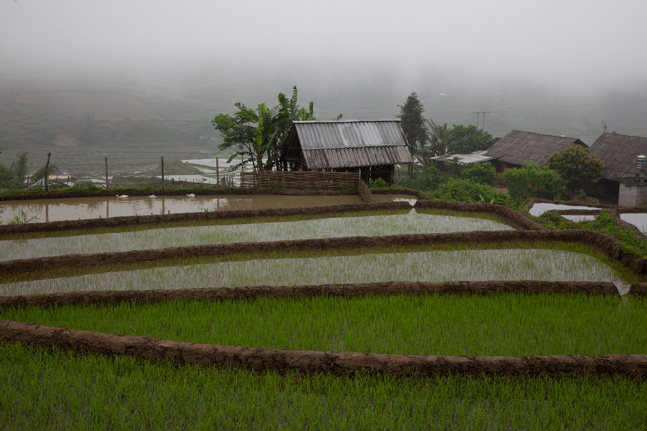 Vietnam