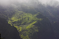 Madeira