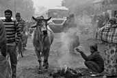 Vietnam: Impressionen in B&W